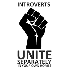 introverts unite